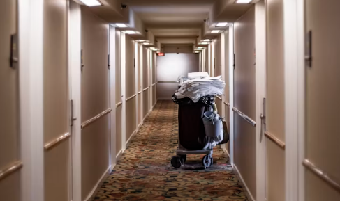 Commercial Carpet Cleaning